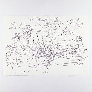 Landschaft mit Regen